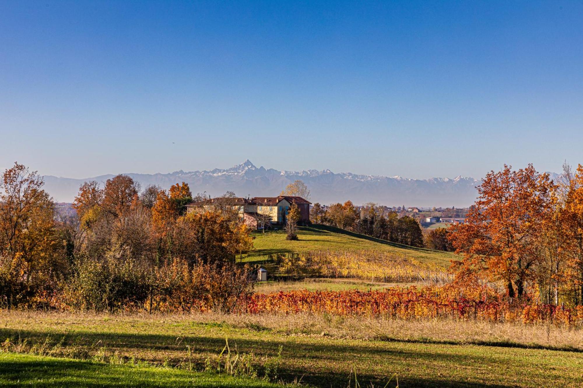 Cascina Rueral Villa Montafia Dış mekan fotoğraf